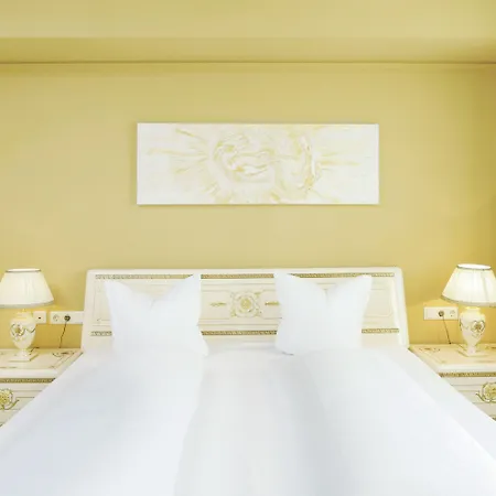 شوارزر أدلر 4* إنسبروك