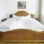 Schwarzer Adler