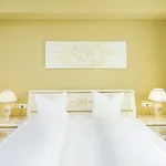 شوارزر أدلر 4* إنسبروك